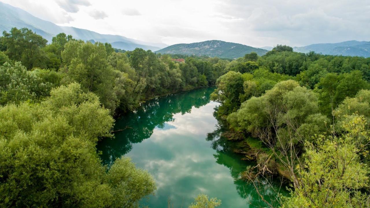 Vila Andrea Danilovgrad エクステリア 写真